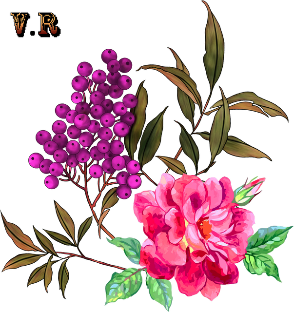 c1f83acea638ba6cb0699ba54f50ee54.png