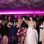 IMG-4133