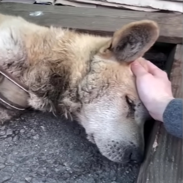 Main Article Image