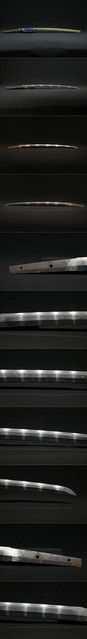 DSC1087