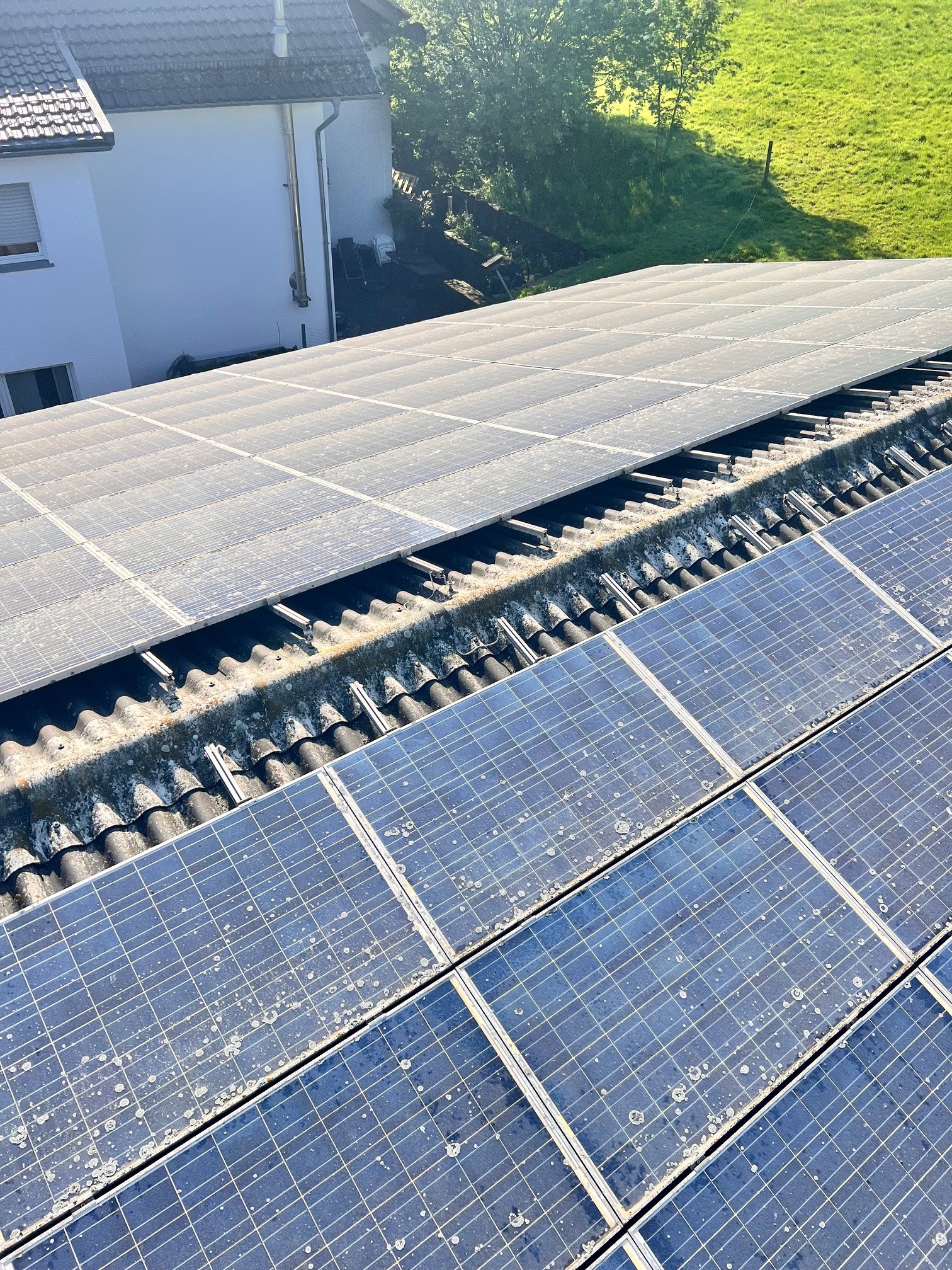 Detailaufnahme der Flechtenbehandlung auf Solarmodulen in Lindlar – Einsatz eines Spezialaufsatzes mit warmem Osmosewasser