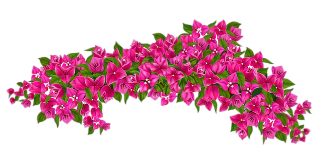 transparent.png