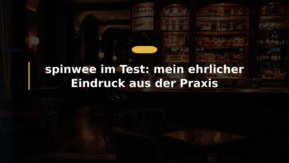 spinwee im Test: mein ehrlicher Eindruck aus der Praxis
