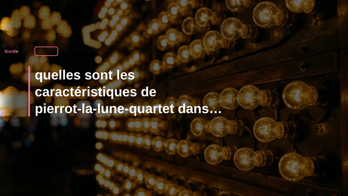 quelles sont les caractéristiques de pierrot-la-lune-quartet dans le secteur du jeu