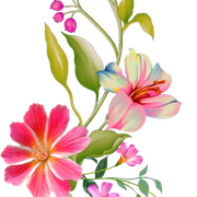 6f42ac6029d9835c9a2c9cd4d7fec7ed