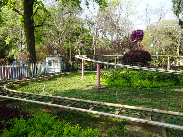 DSC09161.jpg