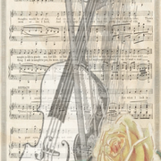 ROSE PIC.png