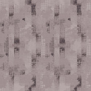 MDP MV 244