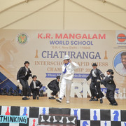 IMG 0311
