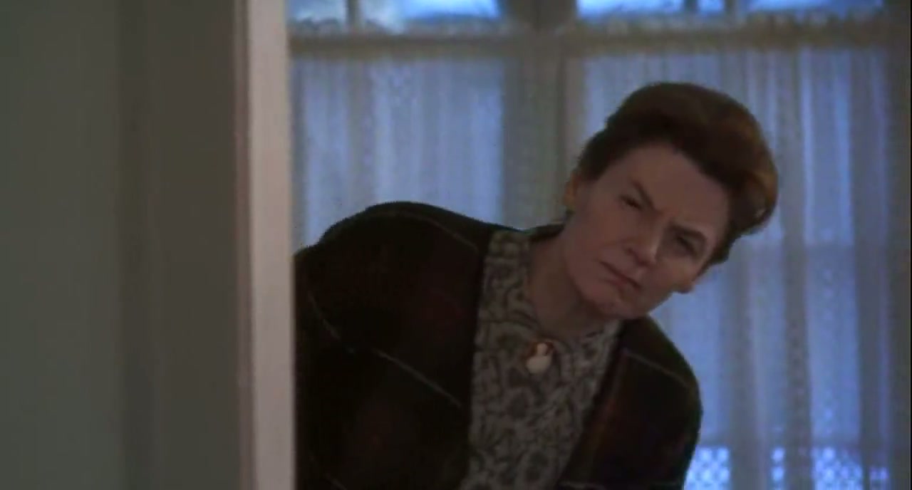 Home Alone 3 Screenshot
