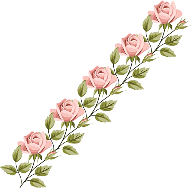 2a36e41c4fbe77b8a22796238fd0a662 copy.png