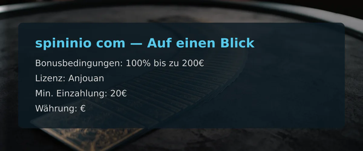 spininio com — Auf einen Blick