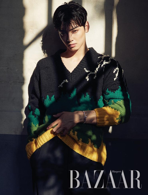 cha eun woo 1061558