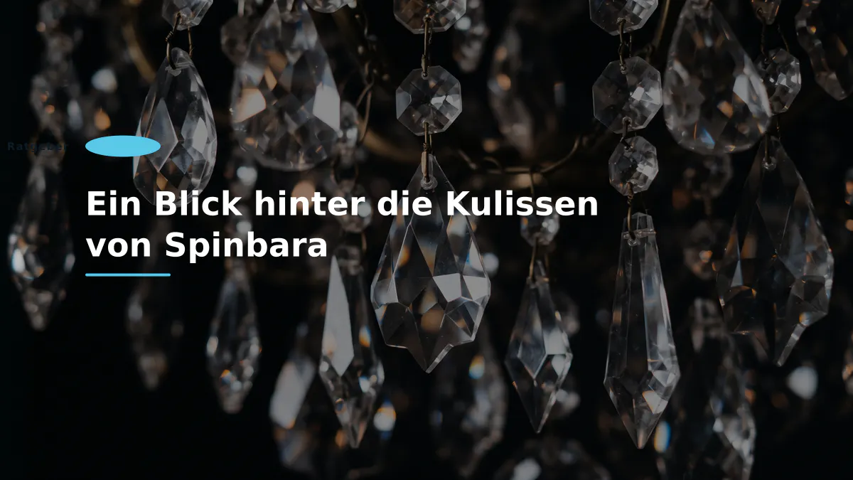Ein Blick hinter die Kulissen von Spinbara