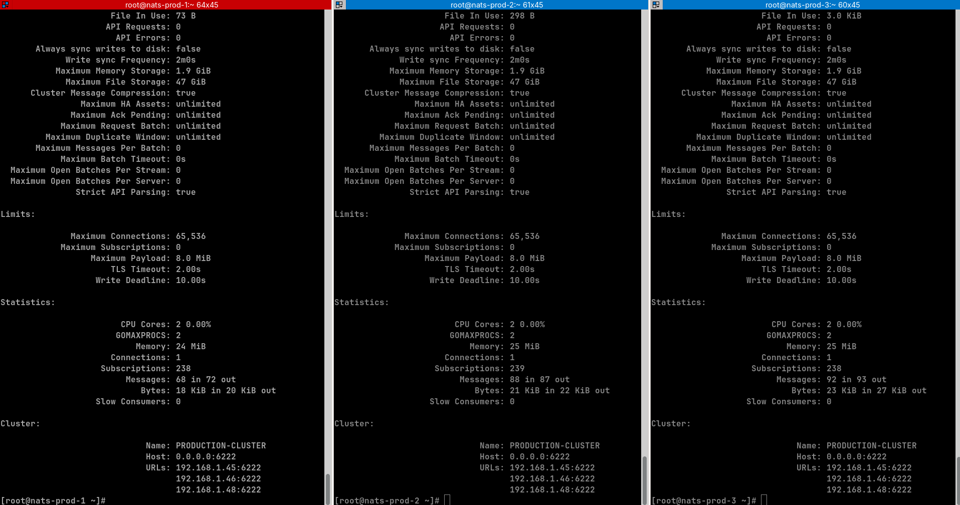 NATS Server Info NATS server cluster metadata and connection status