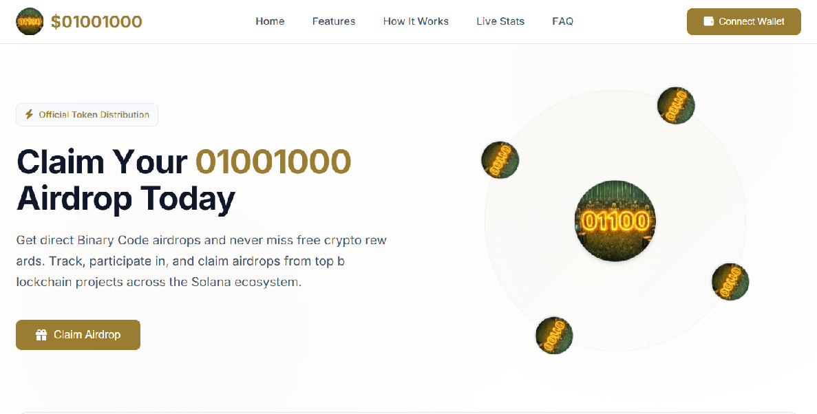Forensic screenshot of binarycode.fun showing the phishing page layout