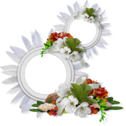 cluster-frame-398
