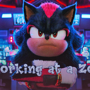 Working-at-a-Zoo