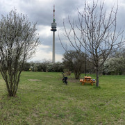 IMG-8772