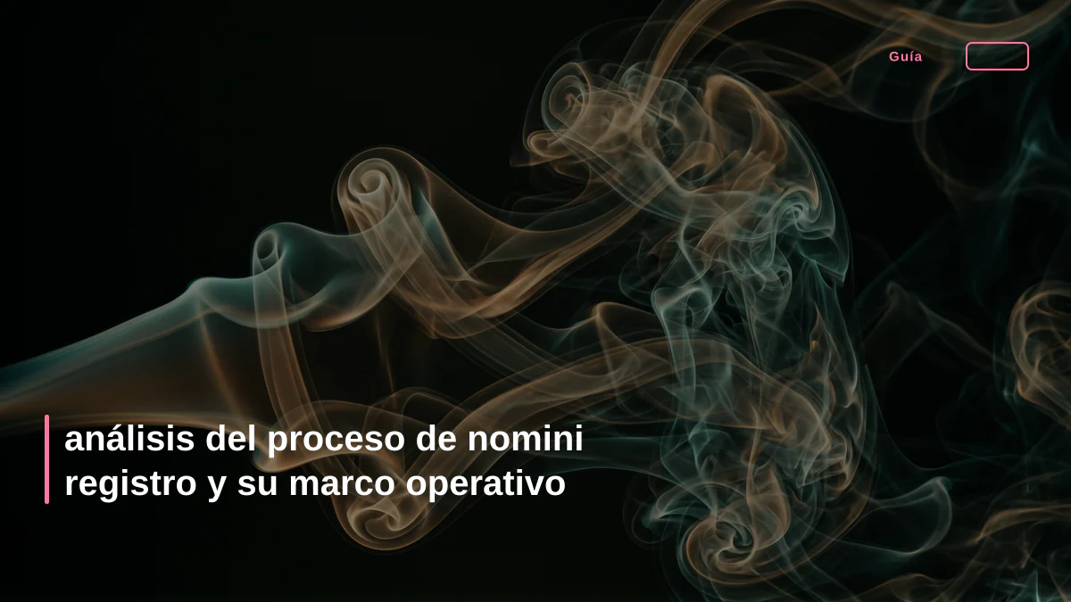 análisis del proceso de nomini registro y su marco operativo