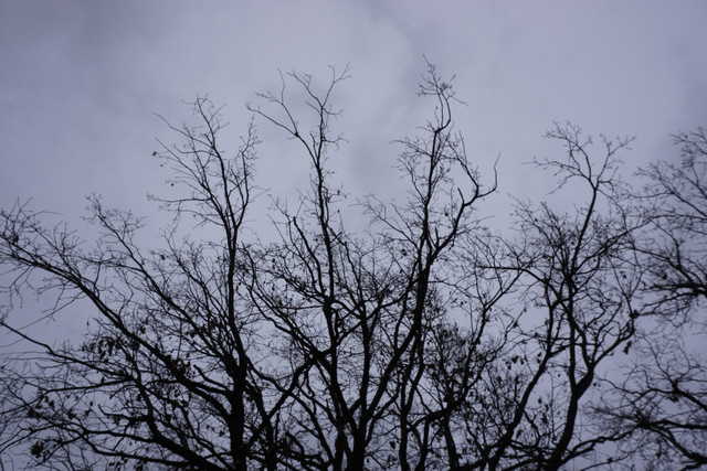DSC00086