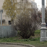 DSC7890