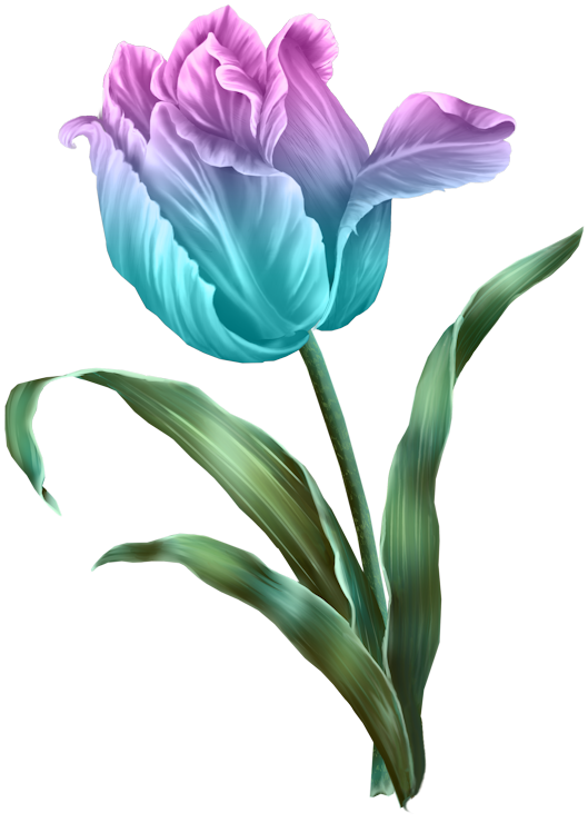 b8baedffd811ba1676f17bf9a414af62.png