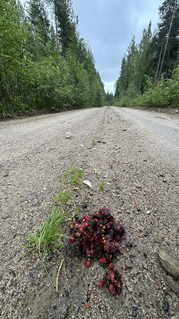 IMG 4969.jpg