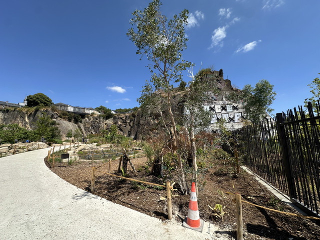 IMG 7885.jpg
