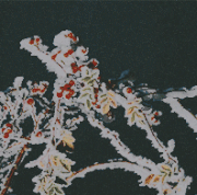 winter.gif