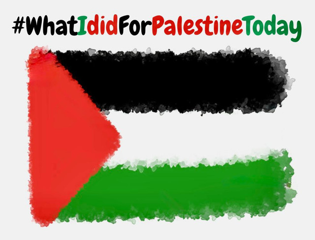 What-Idid-For-Palestine-Today