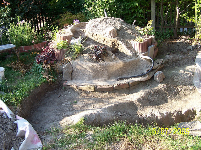Neue Bilder 4891.jpg