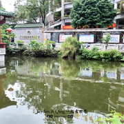 黄埔古港7
