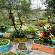 玉蜂谷蜜蜂园2