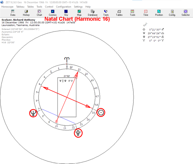 Scolyer natal H16.png