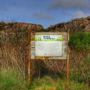DSCN4932