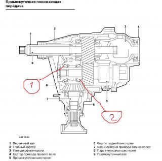 https://i.ibb.co/6cvckYYW/26681-2.jpg