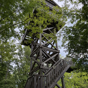 IMG 2354