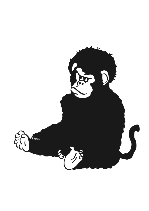 Natural Perm Monkeyのキャラクター