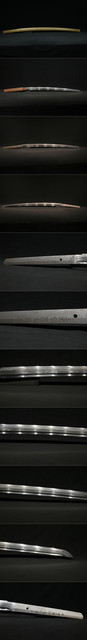 DSC1594