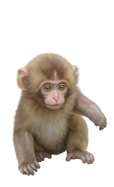 IMG 0240.png