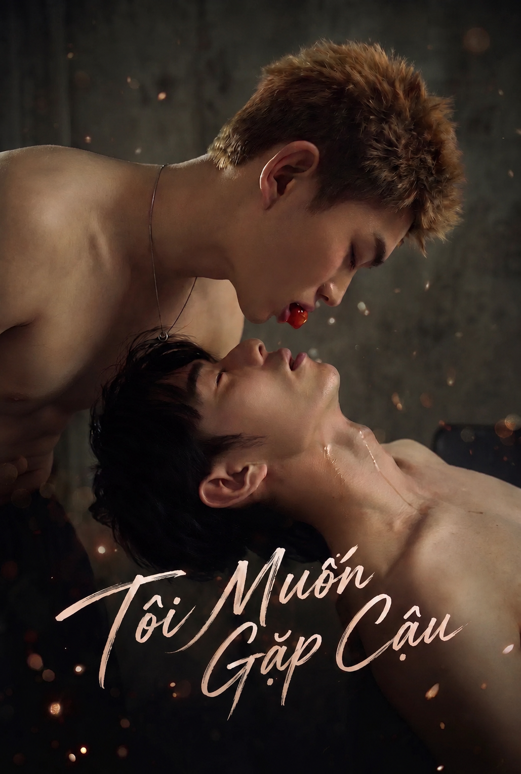 Tôi Muốn Gặp Cậu - Till I See You 我要看见你 (2026)