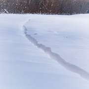L1021408