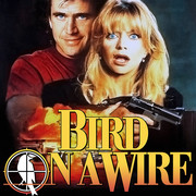 bird-on-a-wire