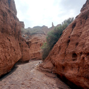 DSC01028