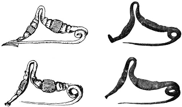 image-000.jpg