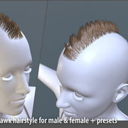 MHawk-01-preview