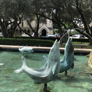 IMG-4241