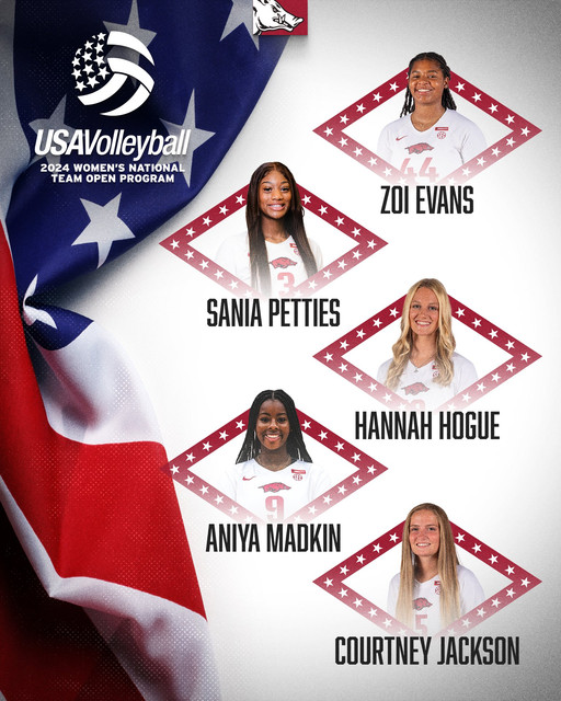 hog-vb