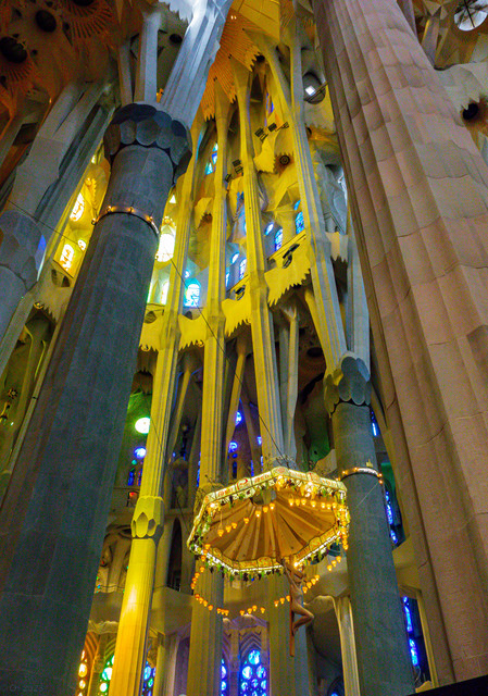 DSC01696.jpg